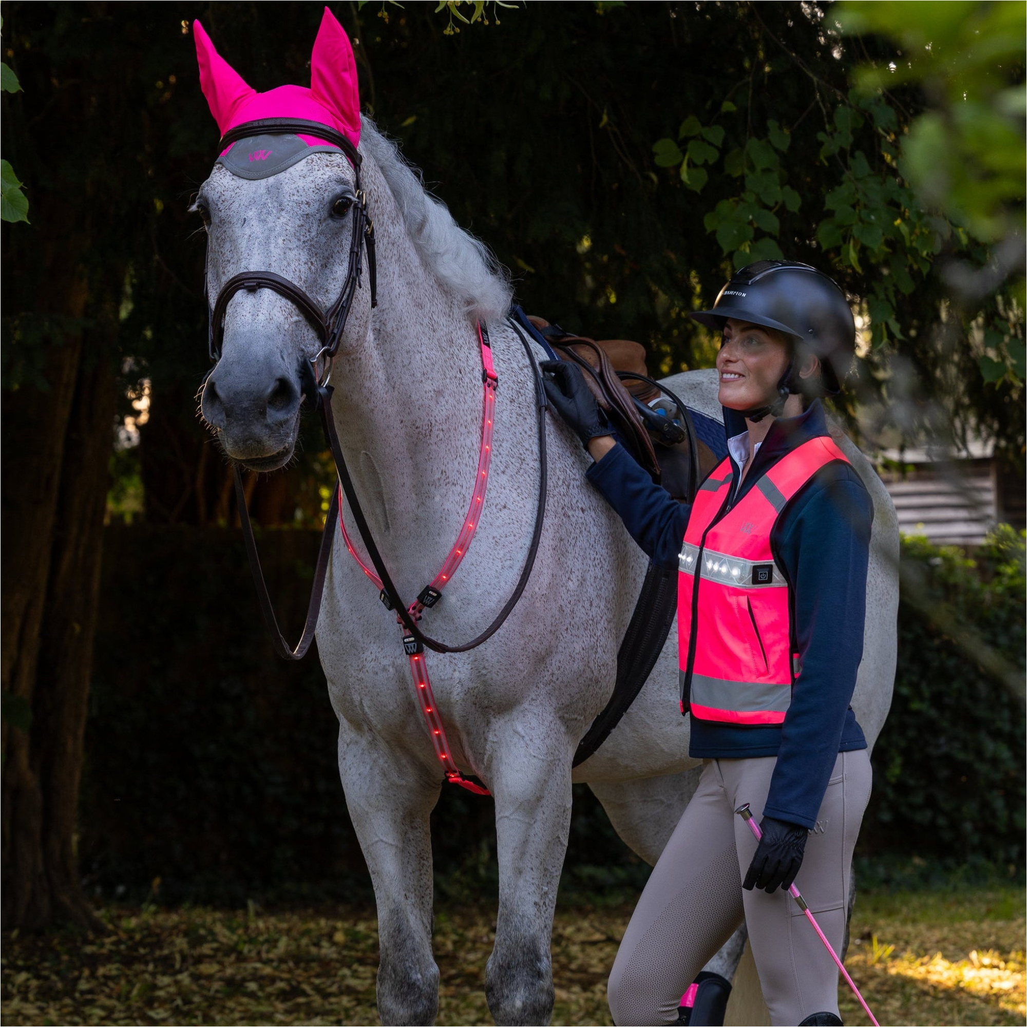 2026 Woof Wear Bandeau LED Pour Le Cou WS0035 - Hi Viz Pink